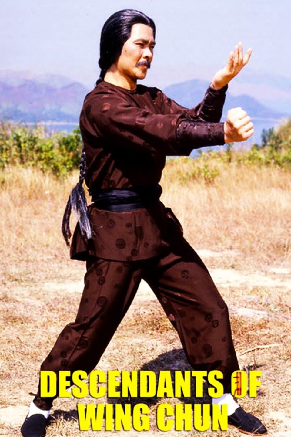 The Descendant Of Wing Chun photo