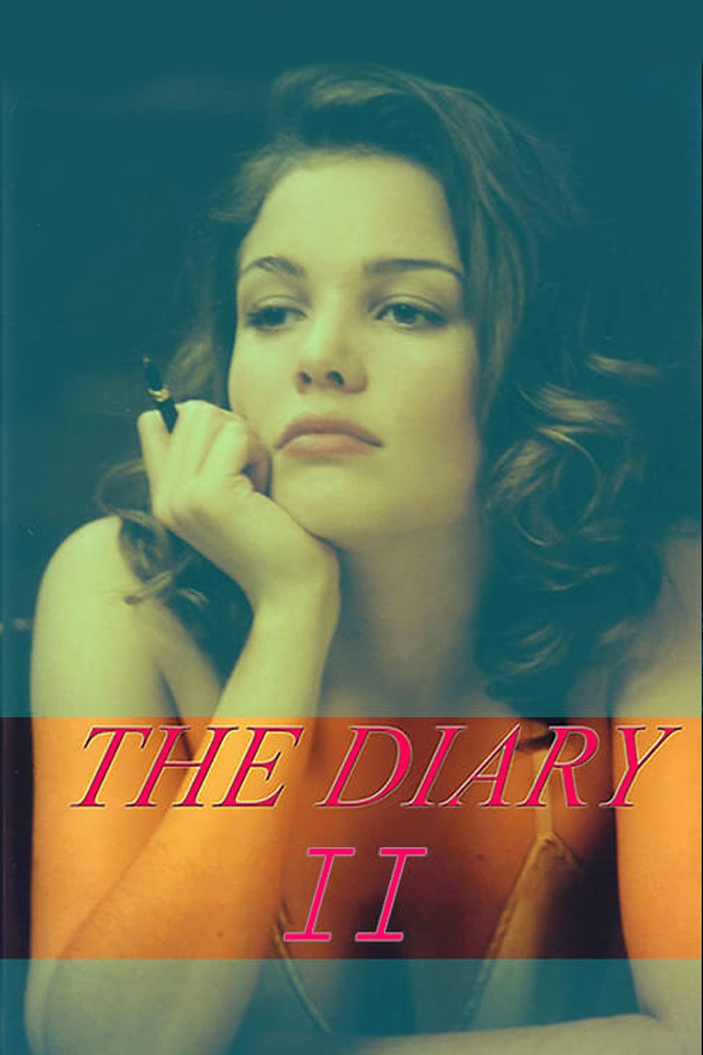 The Diary 2 photo