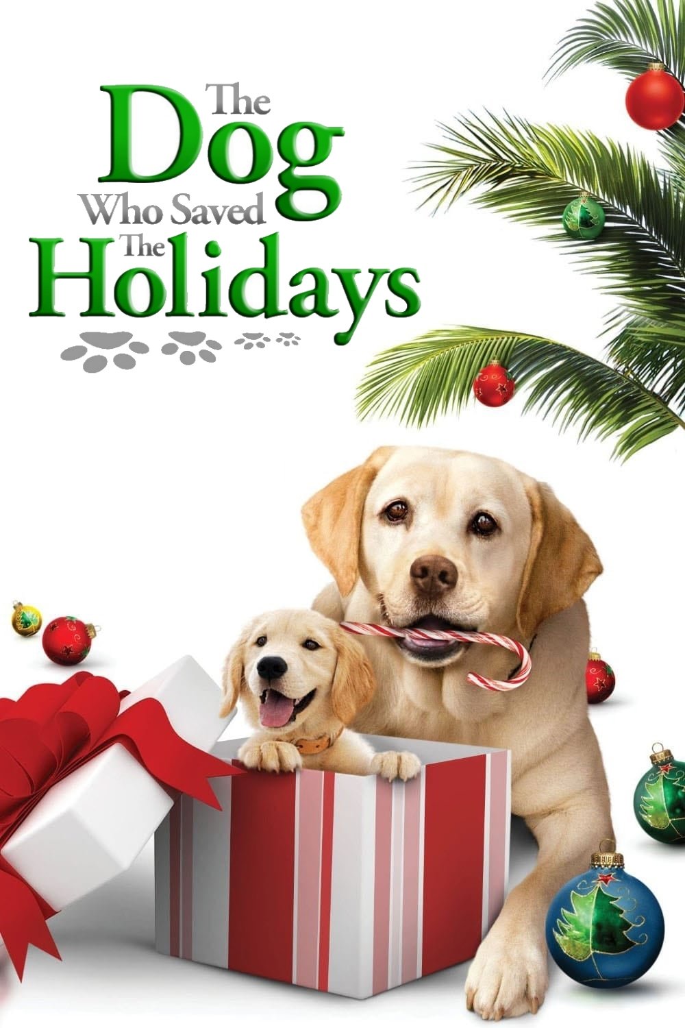 The Dog Who Saved the Holidays photo