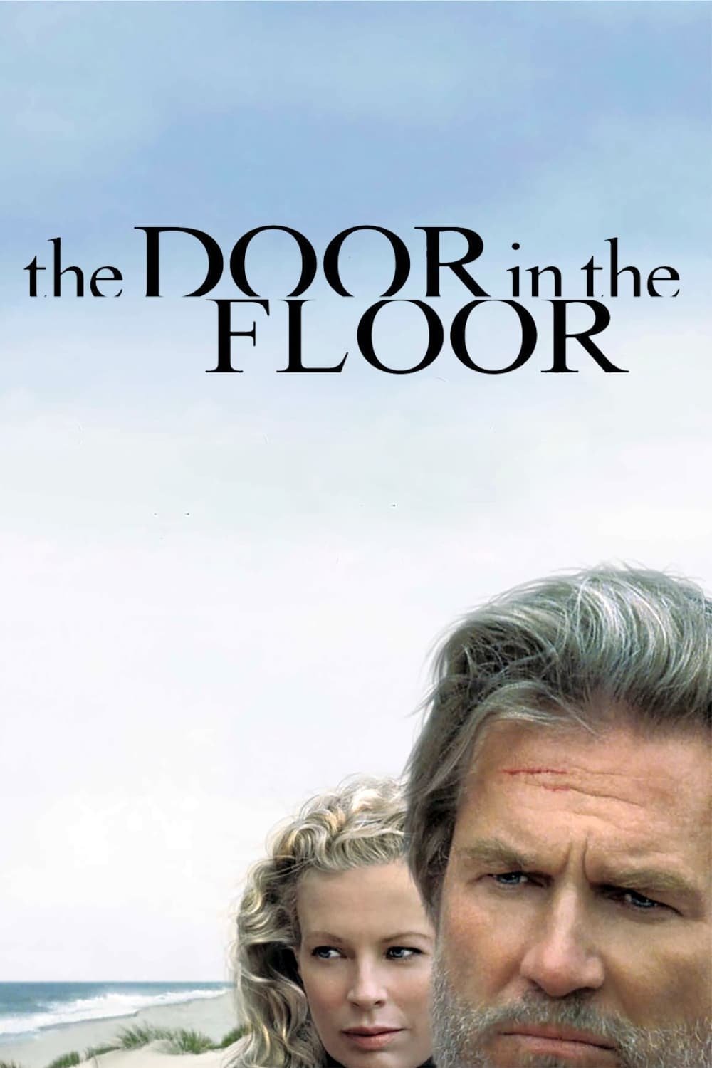 The Door in the Floor photo