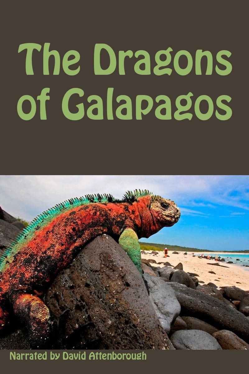 The Dragons of Galapagos photo