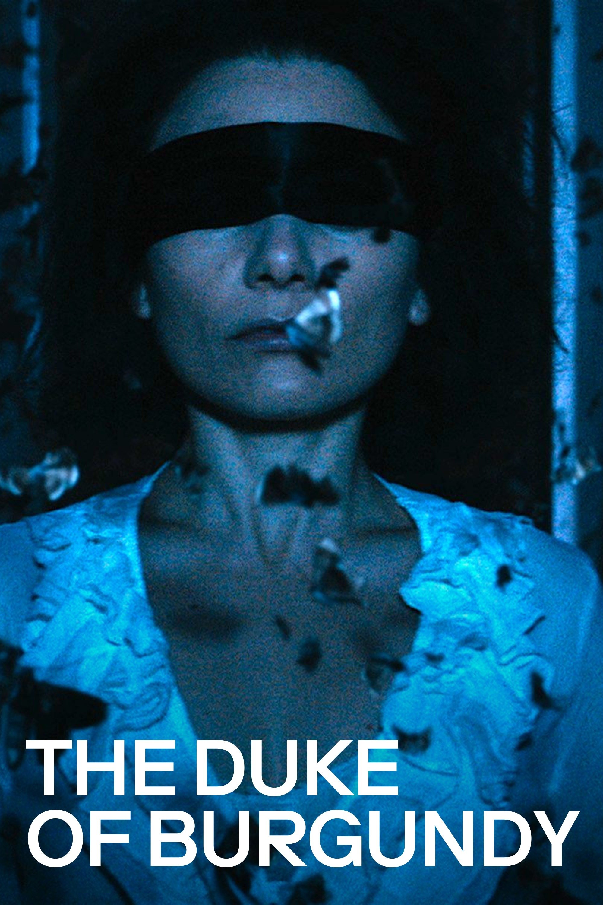The Duke of Burgundy photo