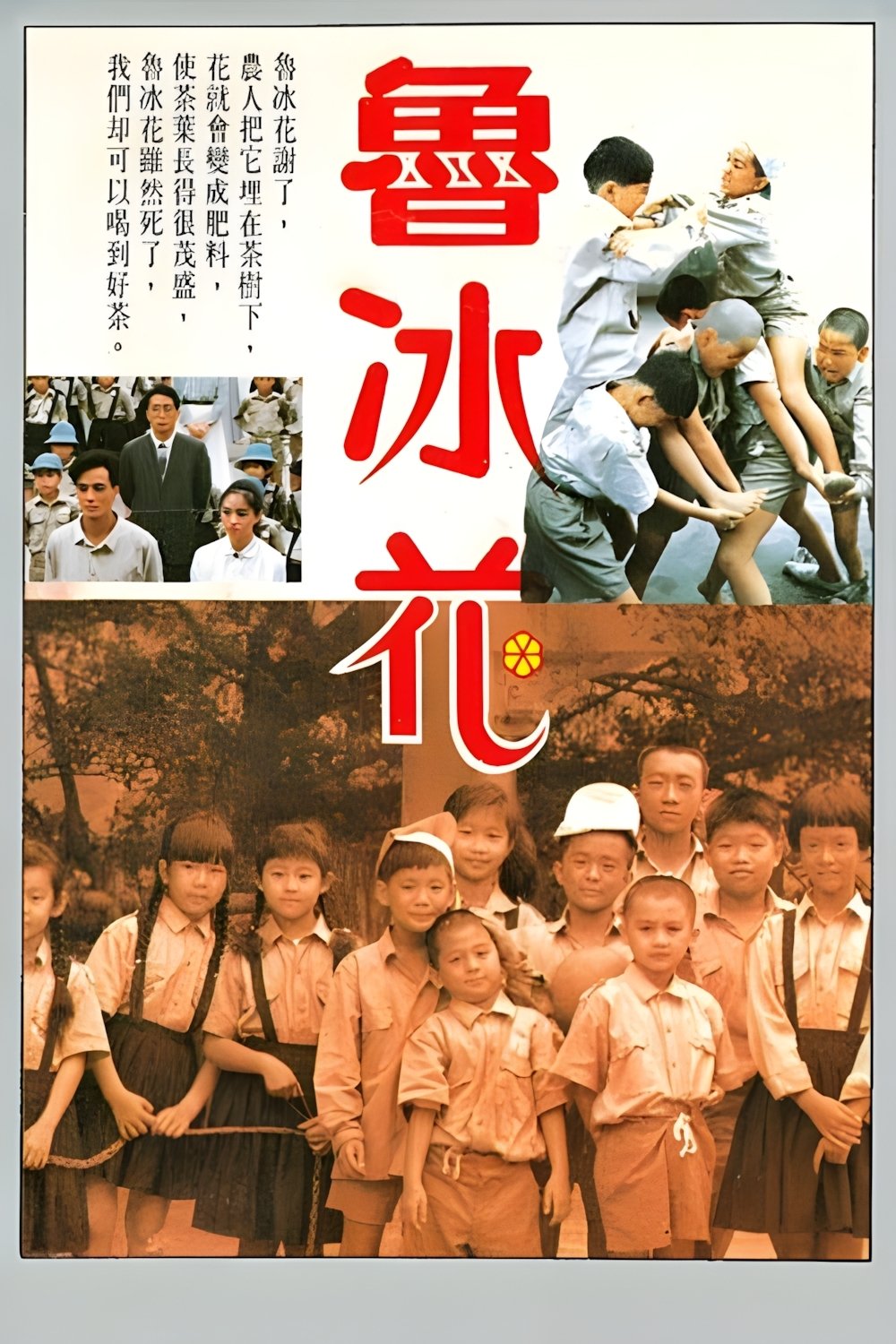 The Dull-Ice Flower photo