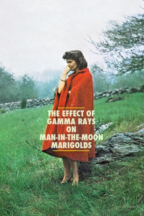 The Effect of Gamma Rays on Man-in-the-Moon Marigolds photo