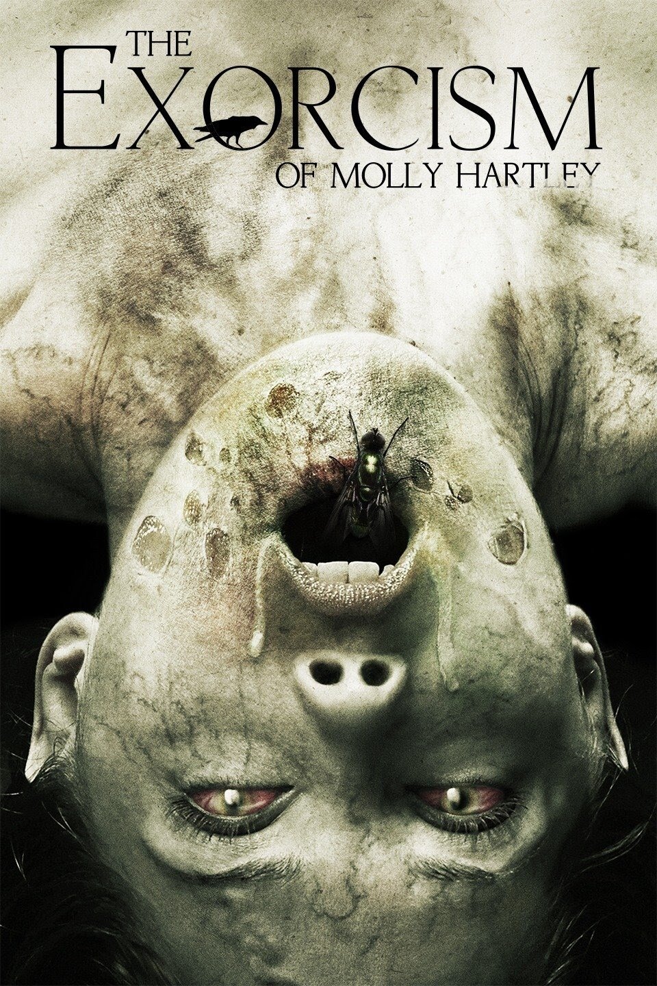 The Exorcism of Molly Hartley photo