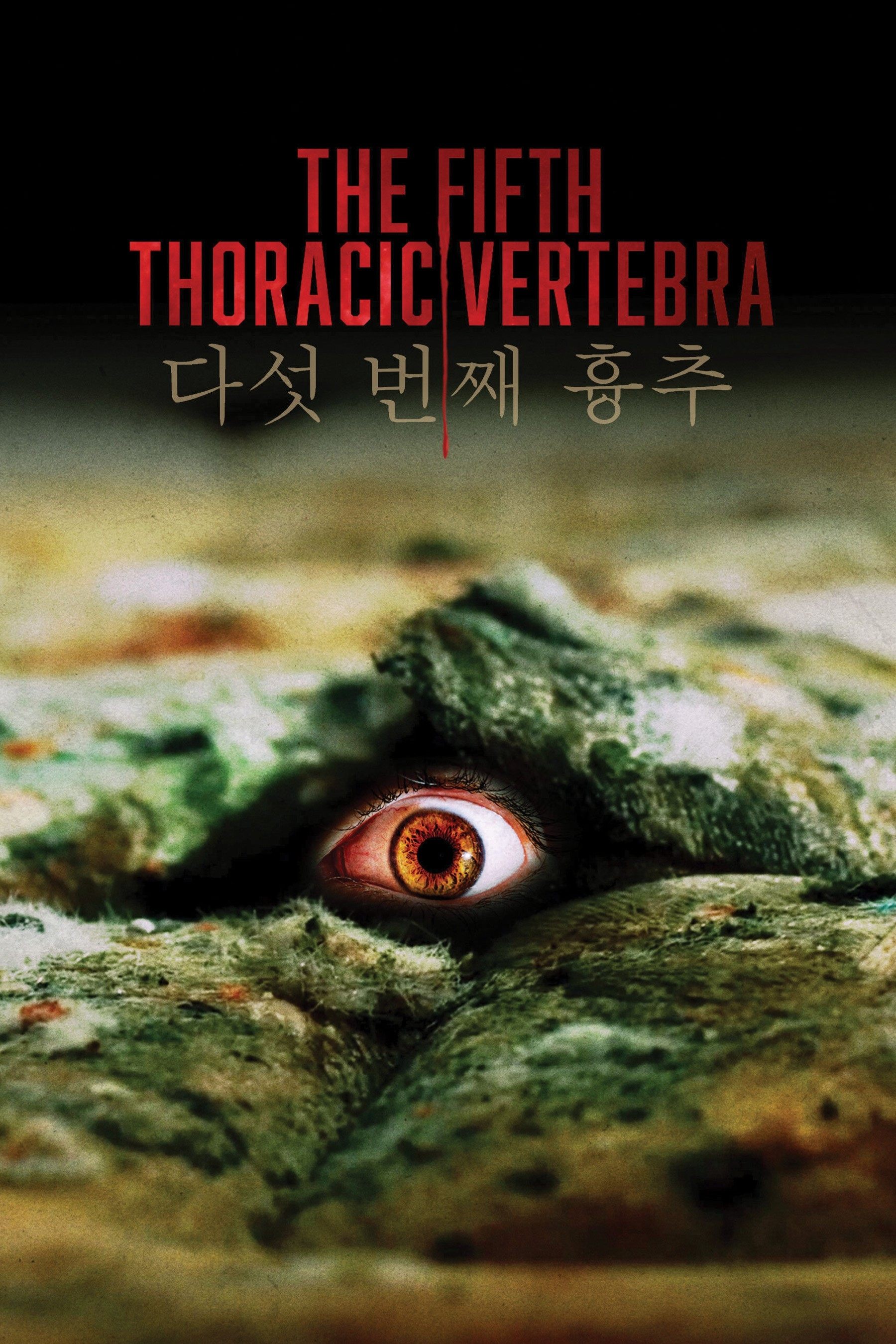 The Fifth Thoracic Vertebra photo