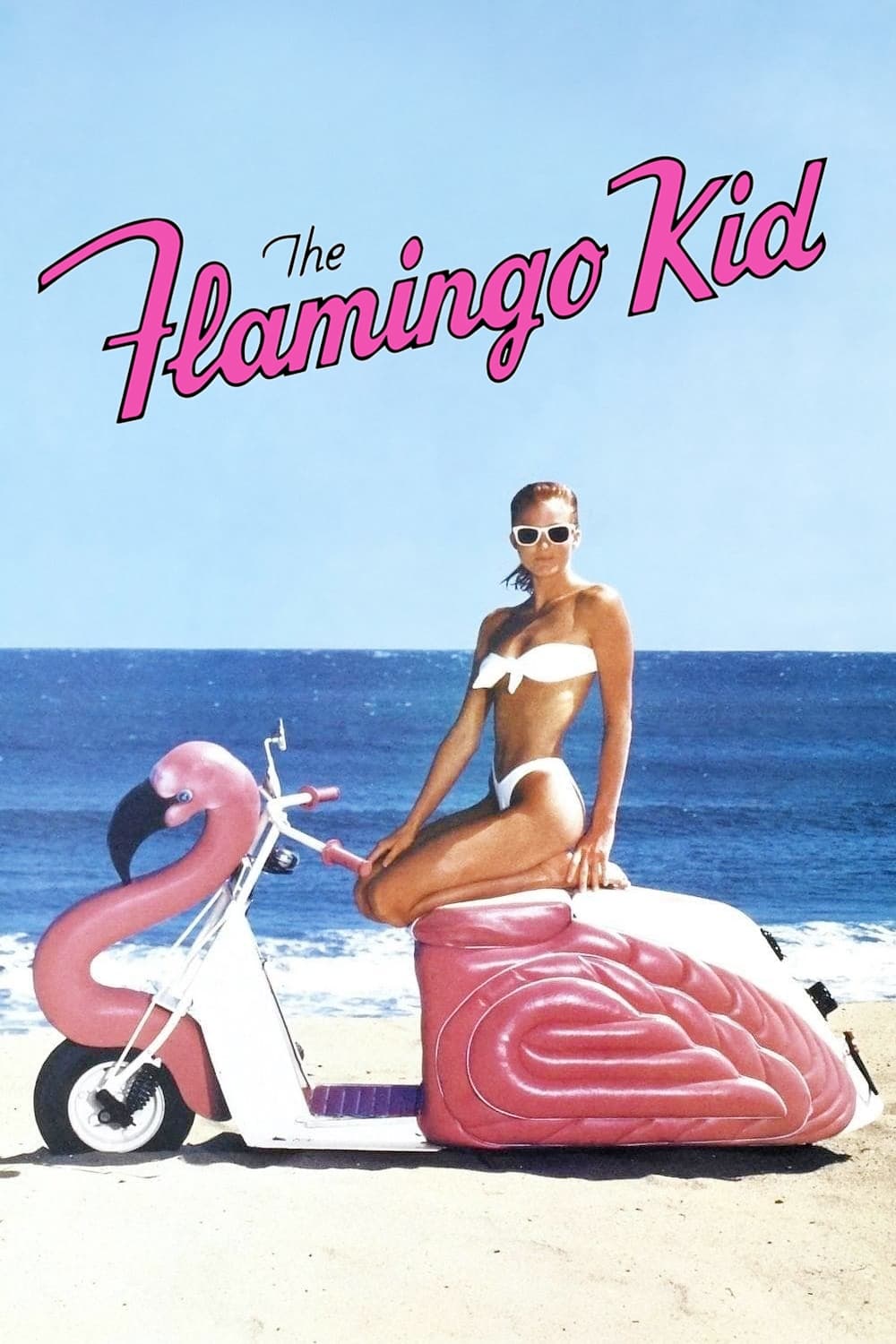 The Flamingo Kid photo