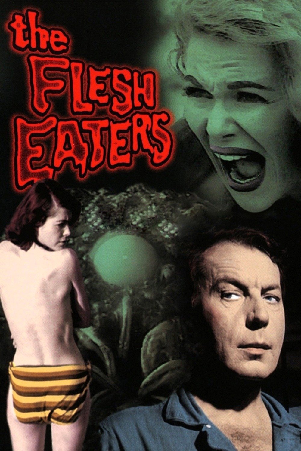The Flesh Eaters photo