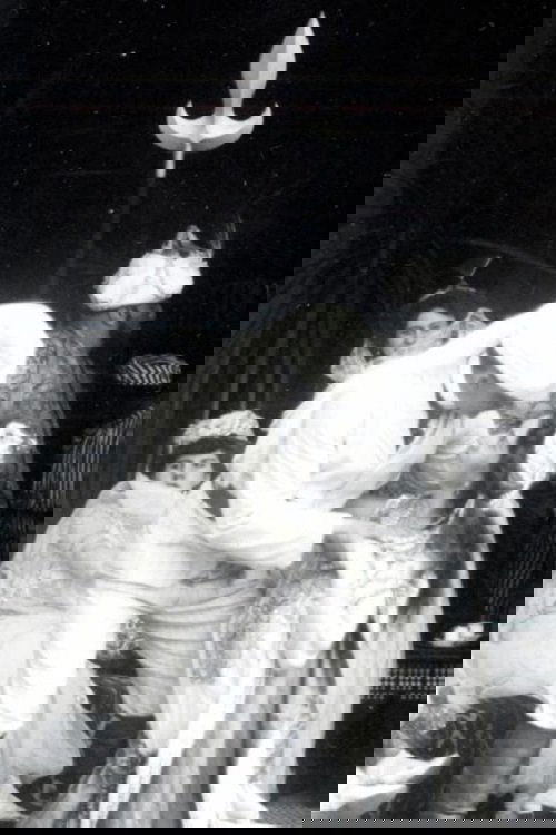 The Flight from the Seraglio photo