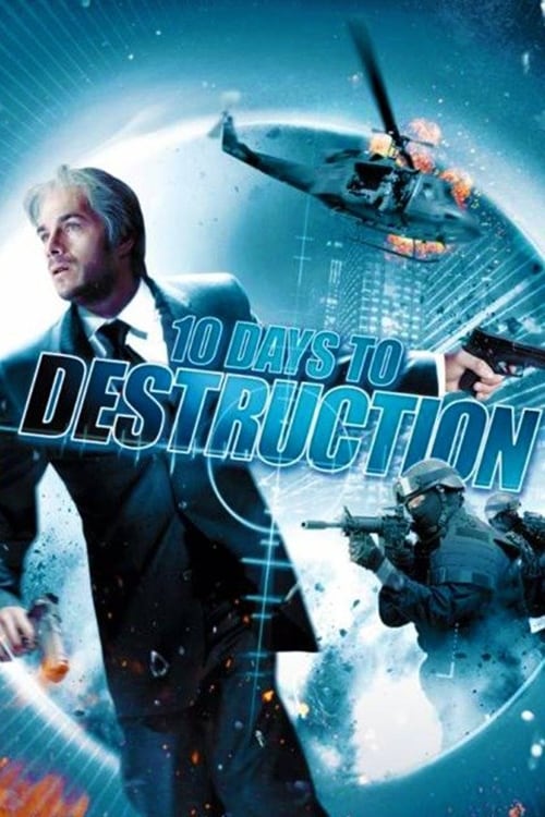 The Flight of the Swan photo