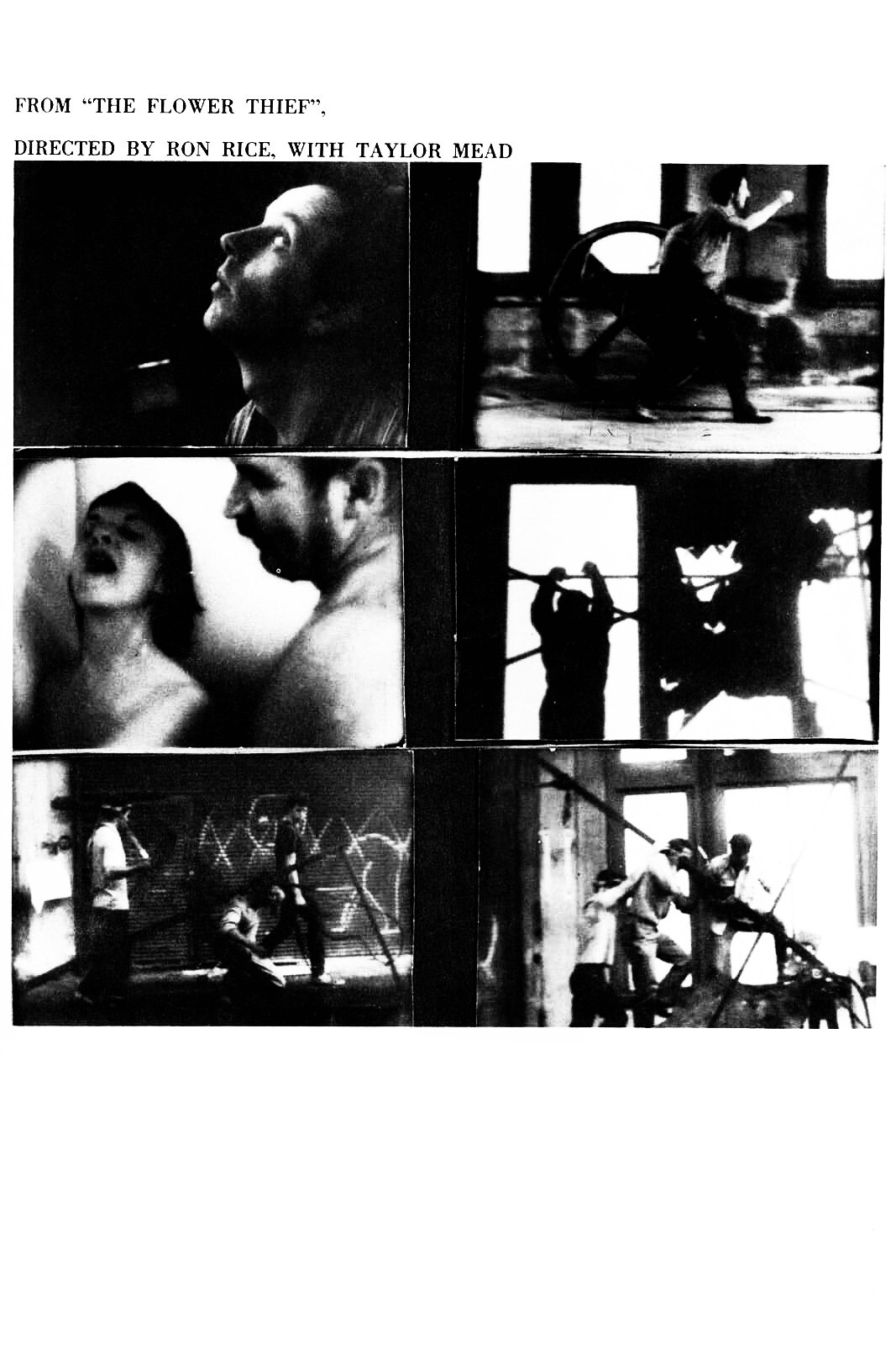 The Flower Thief photo