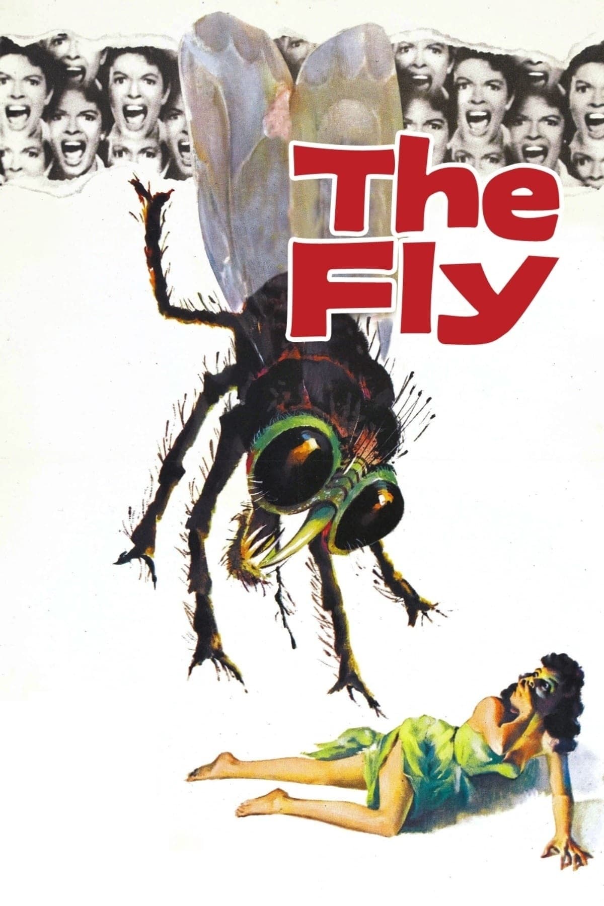 The Fly photo