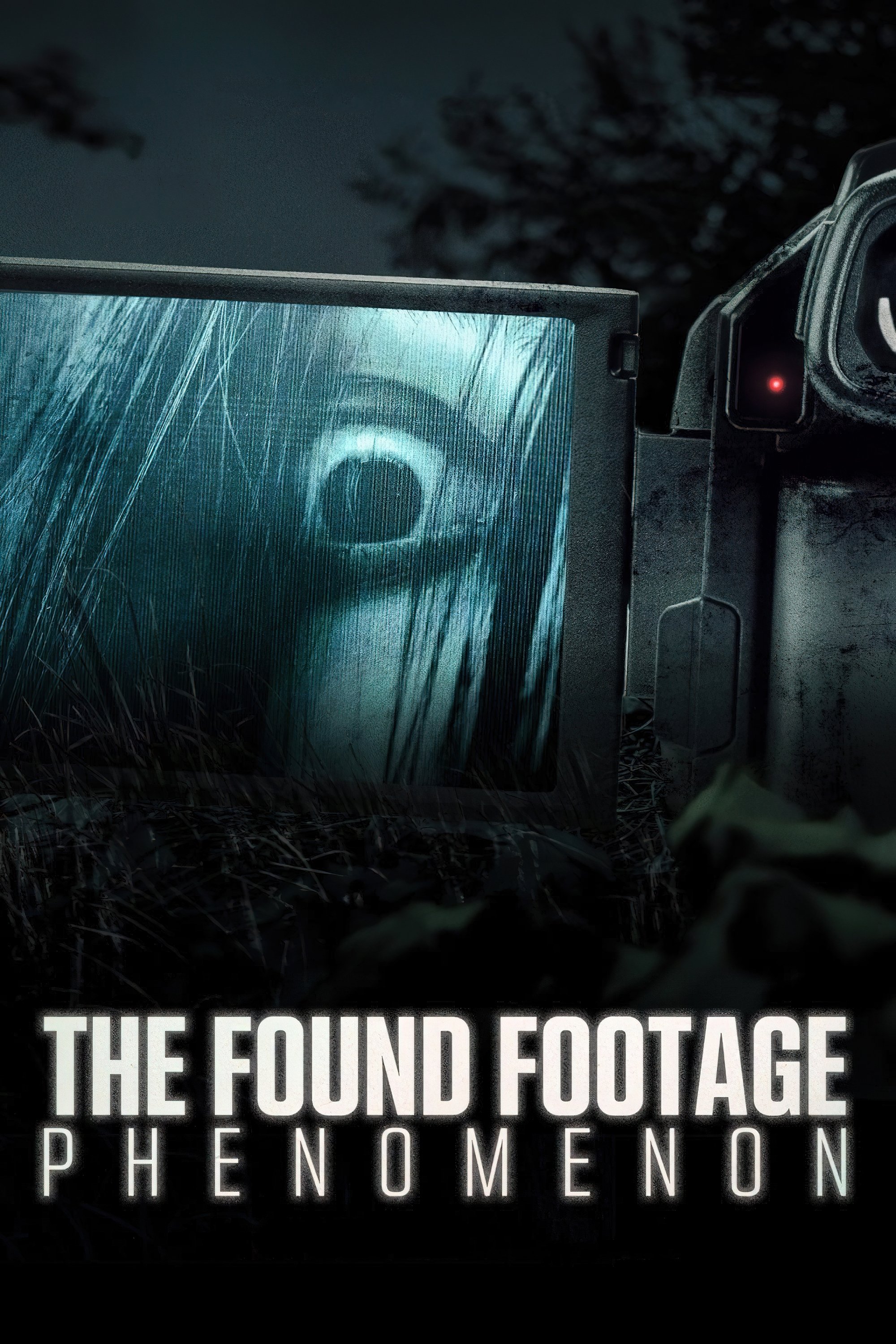 The Found Footage Phenomenon photo
