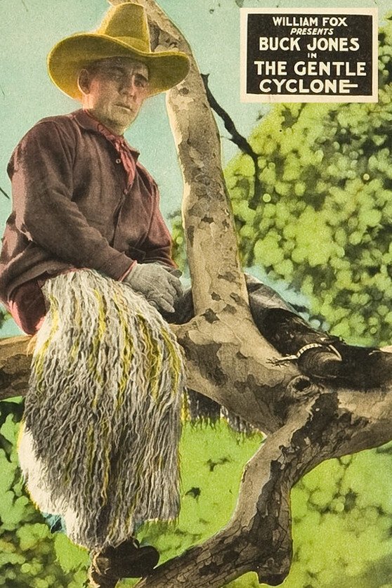 The Gentle Cyclone photo