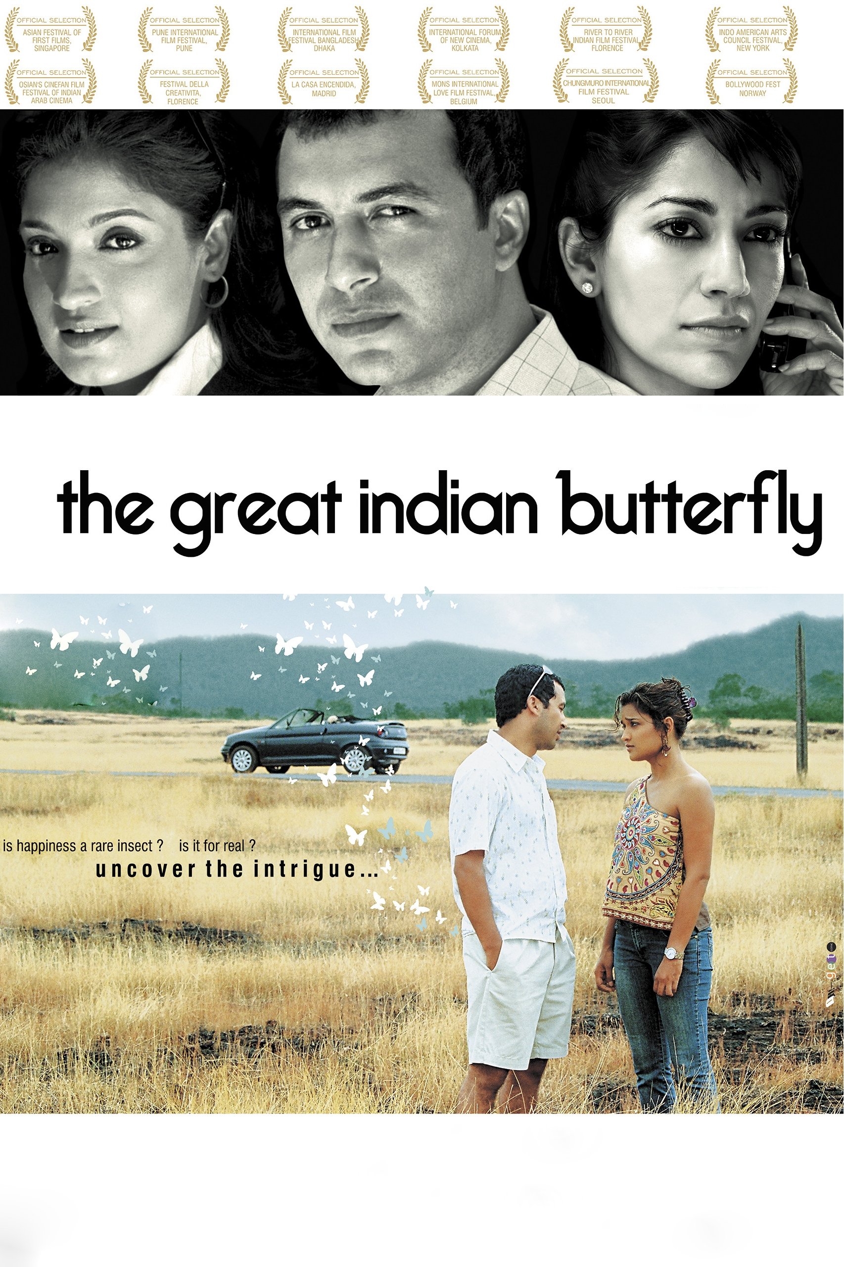 The Great Indian Butterfly photo