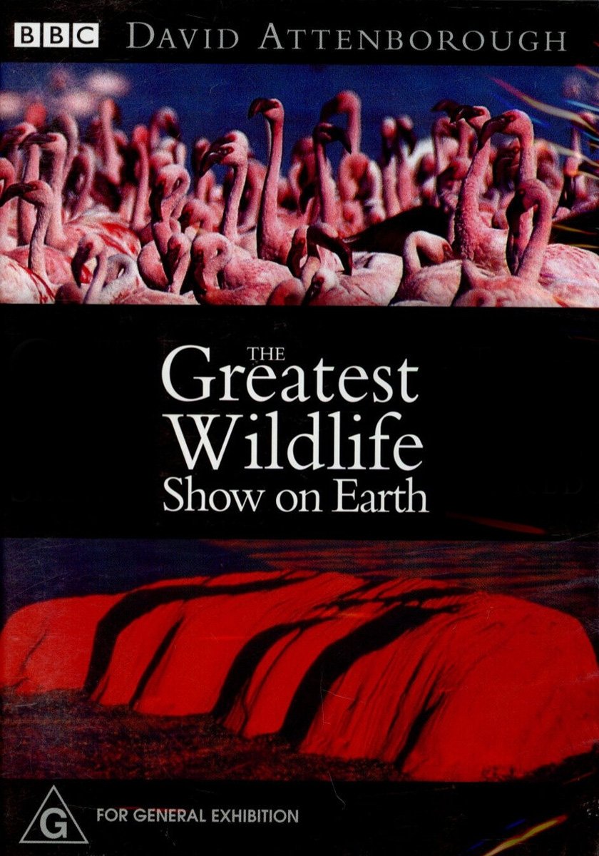 The Greatest Wildlife Show on Earth photo