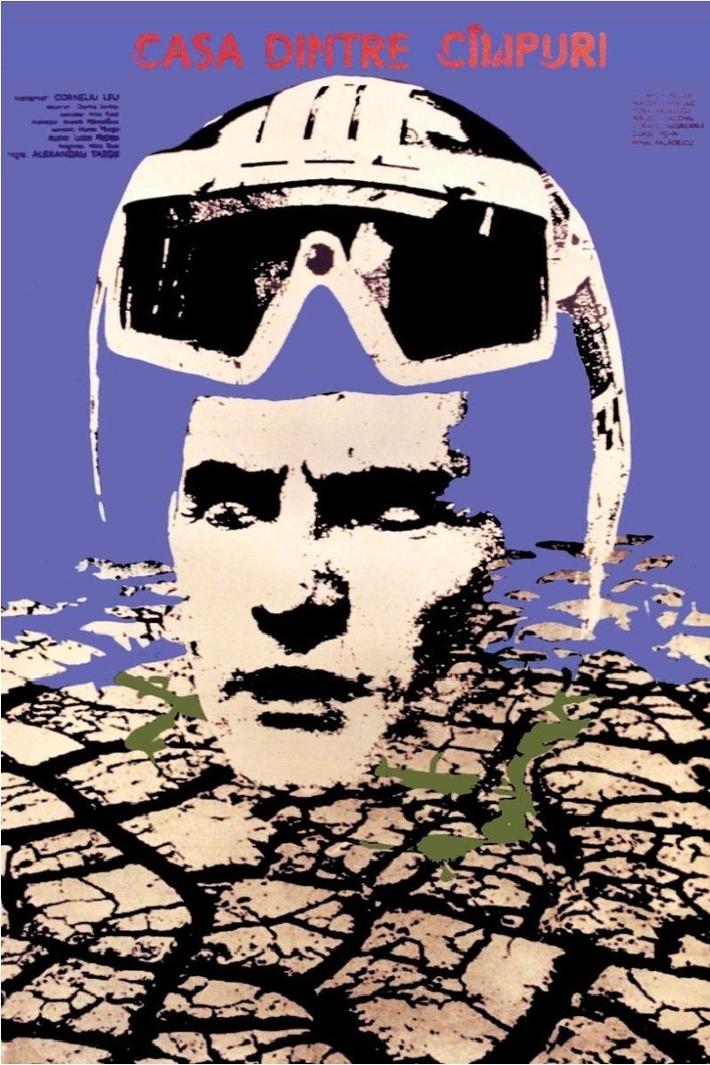 The House Between the Fields photo