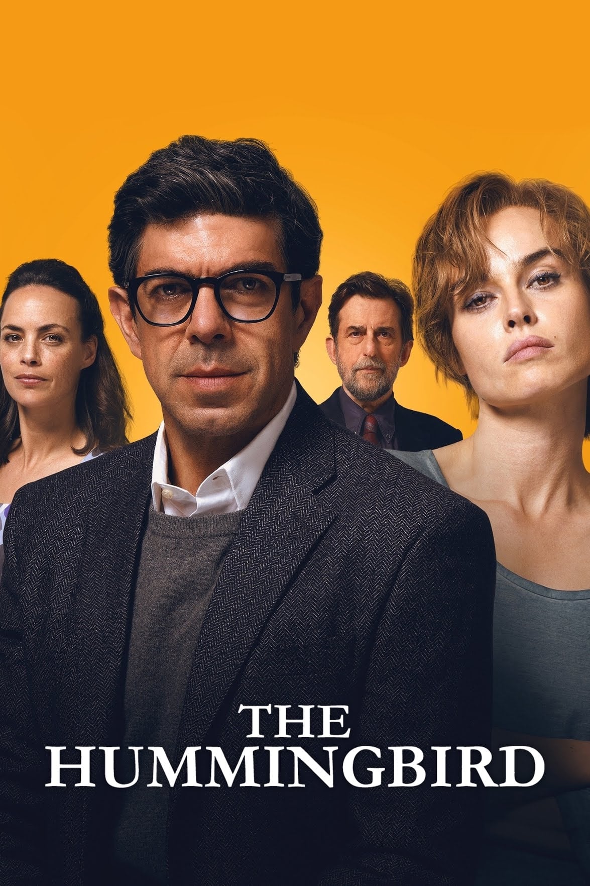 The Hummingbird photo