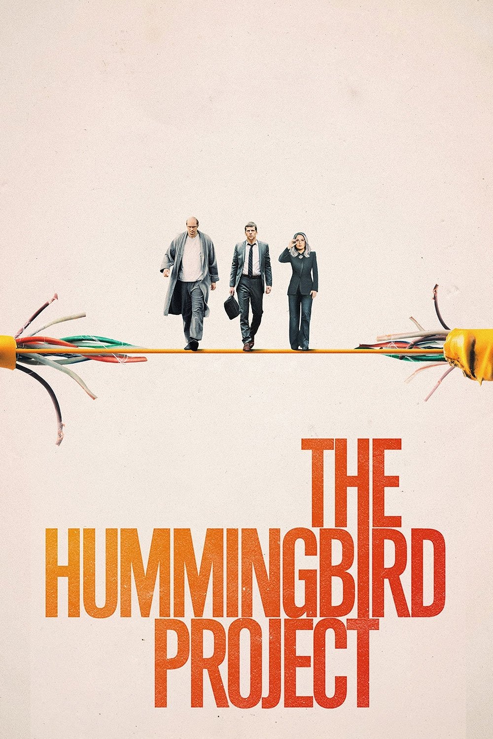 The Hummingbird Project photo
