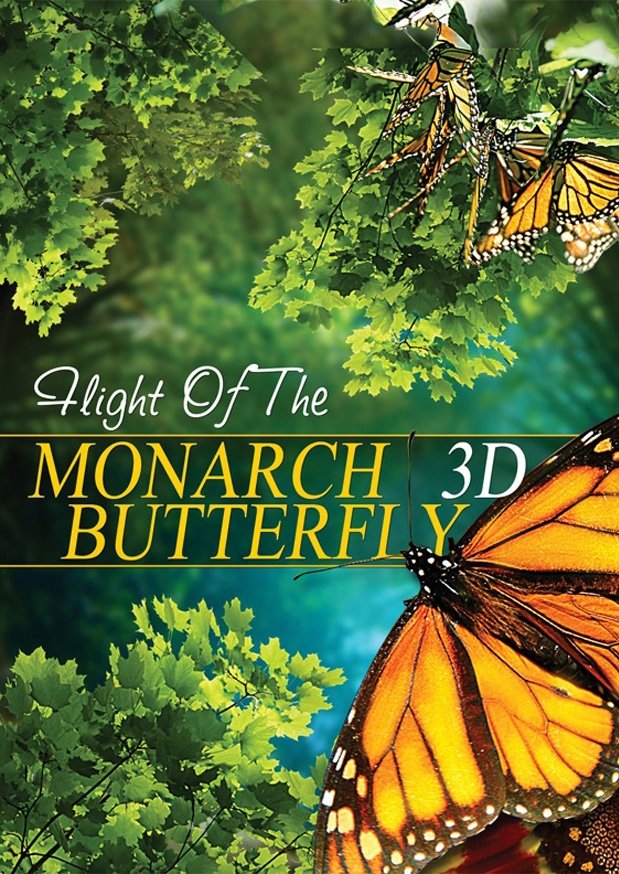 The Incredible Journey of the Monarch Butterfly photo