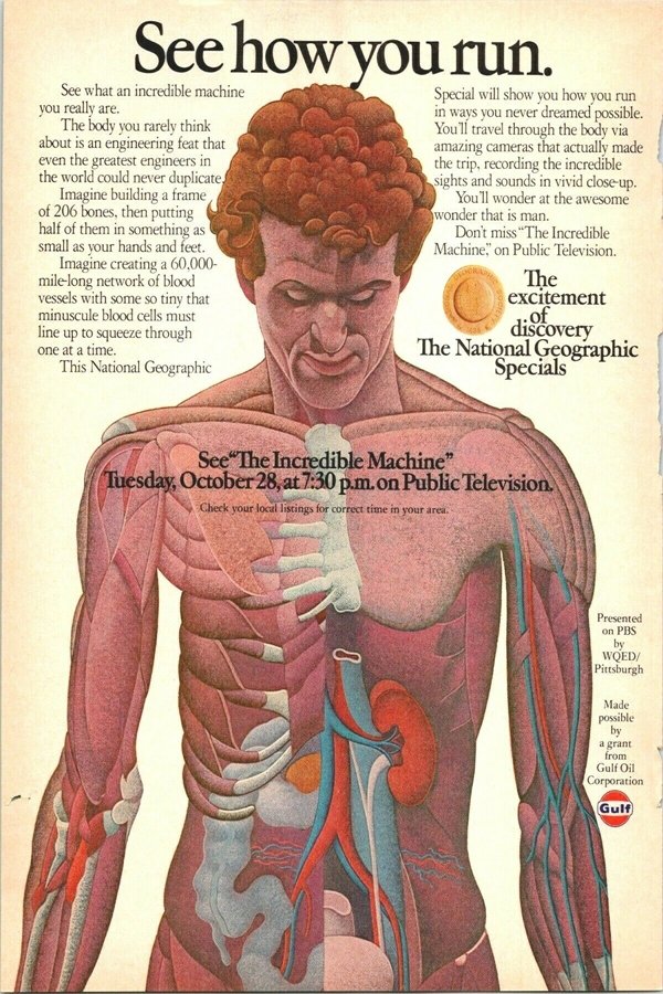 The Incredible Machine photo