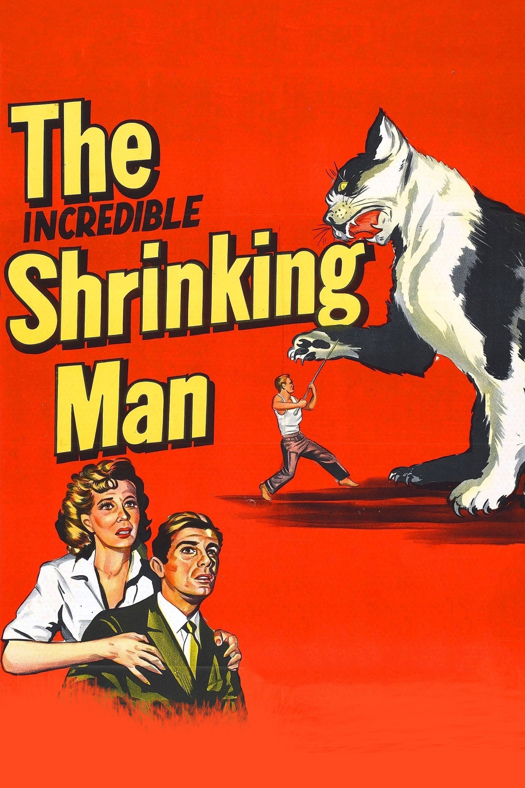 The Incredible Shrinking Man photo