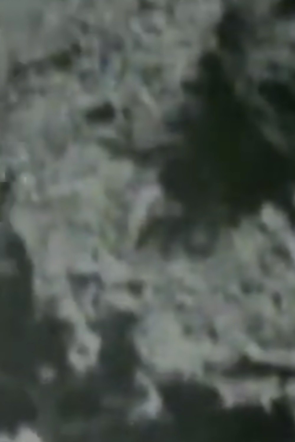 The Indian Runner's Romance photo