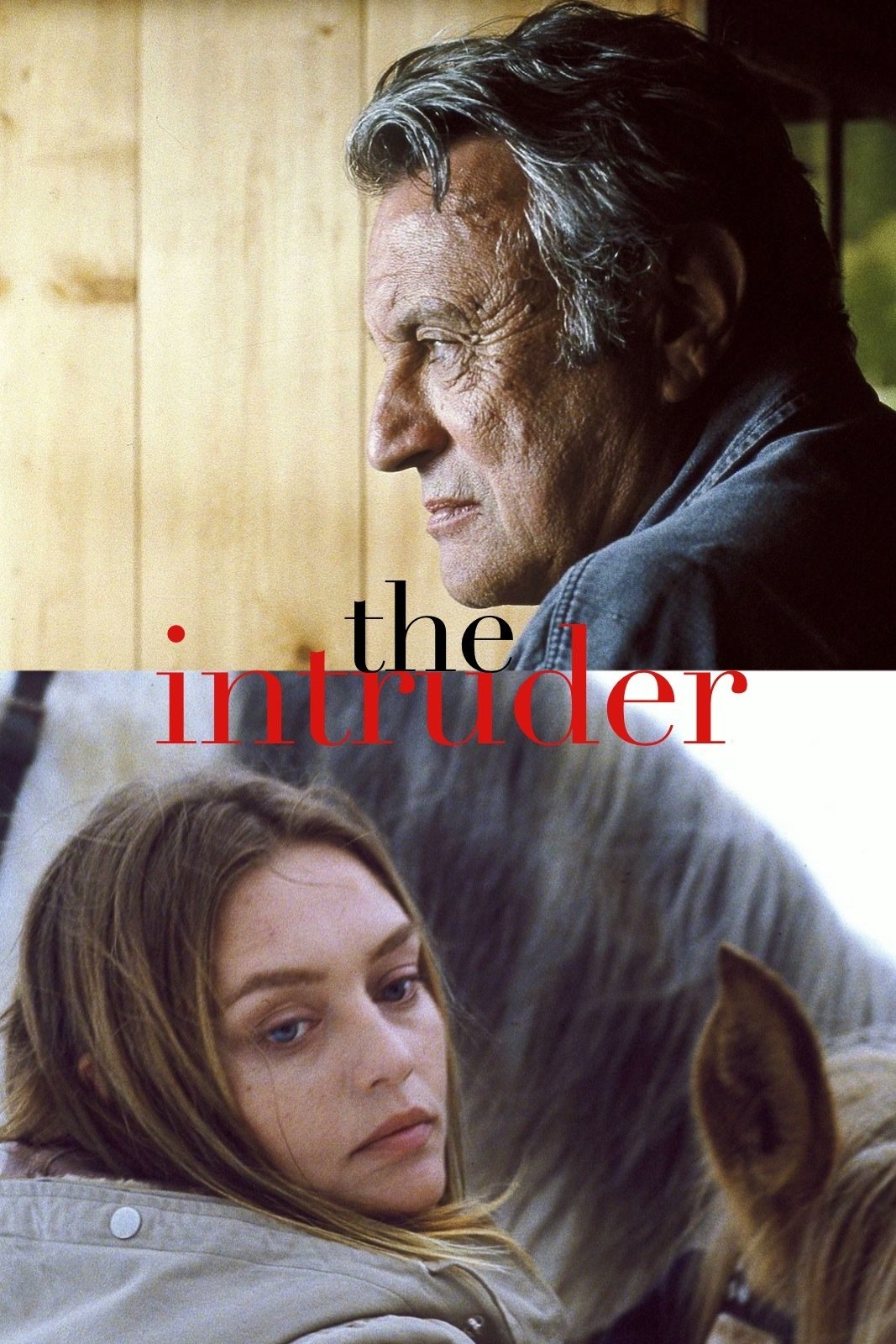 The Intruder photo