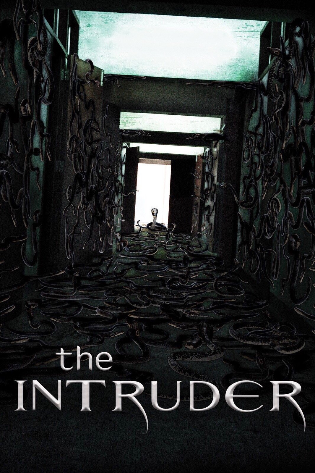 The Intruder photo