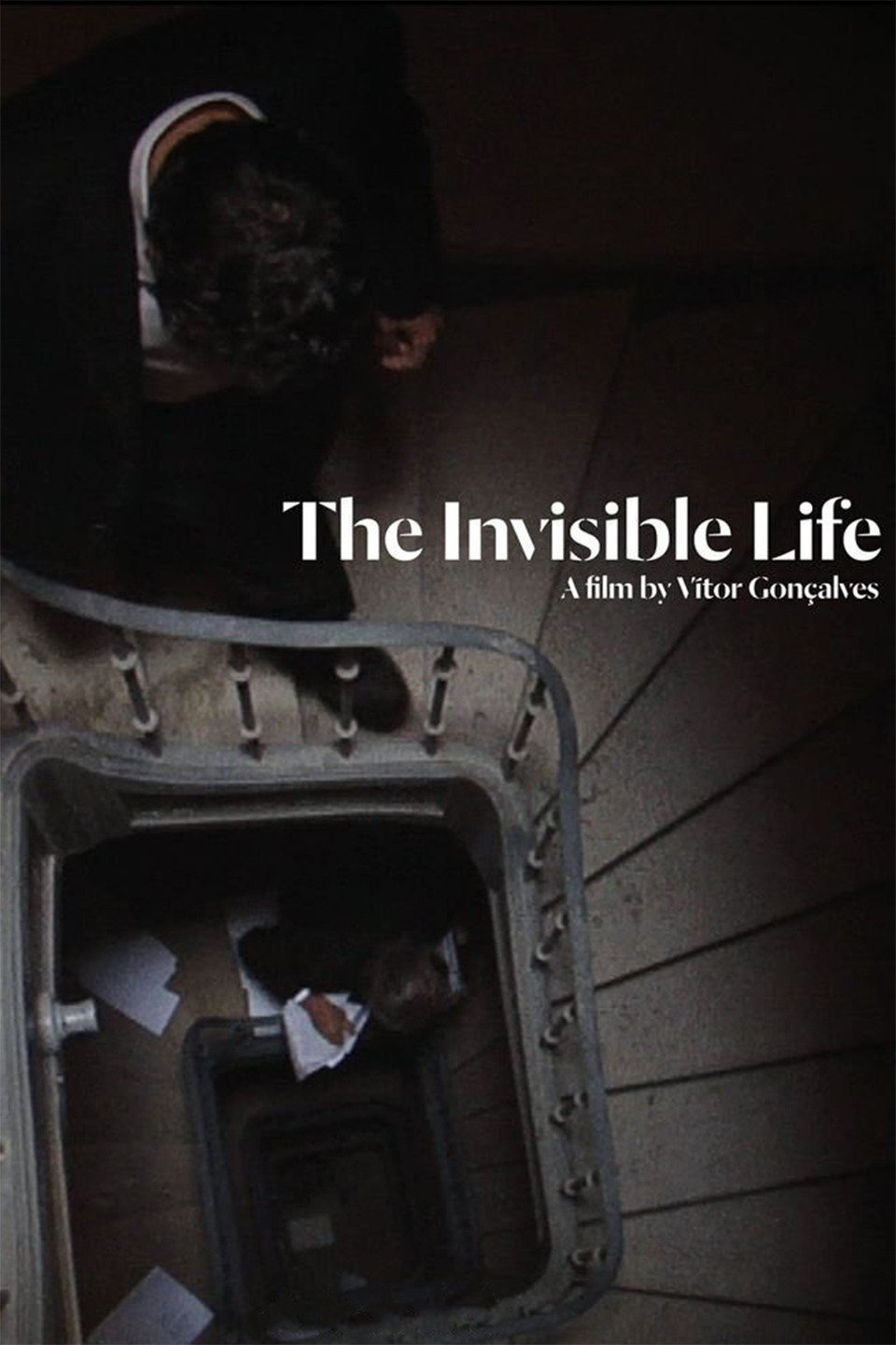 The Invisible Life photo