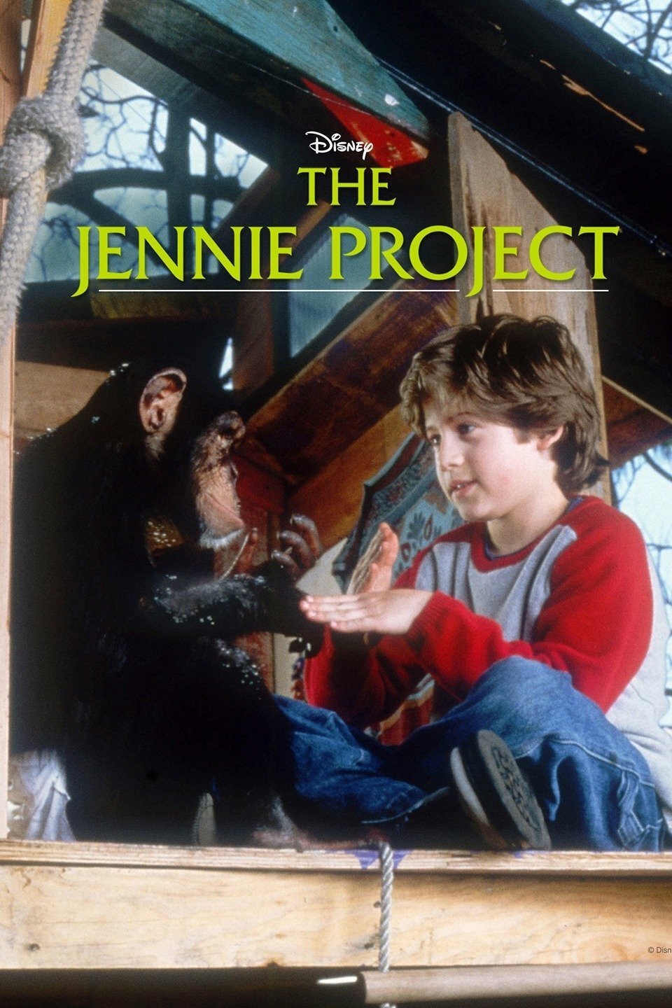 The Jennie Project photo