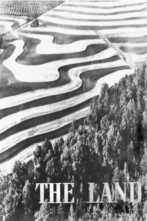 The Land photo