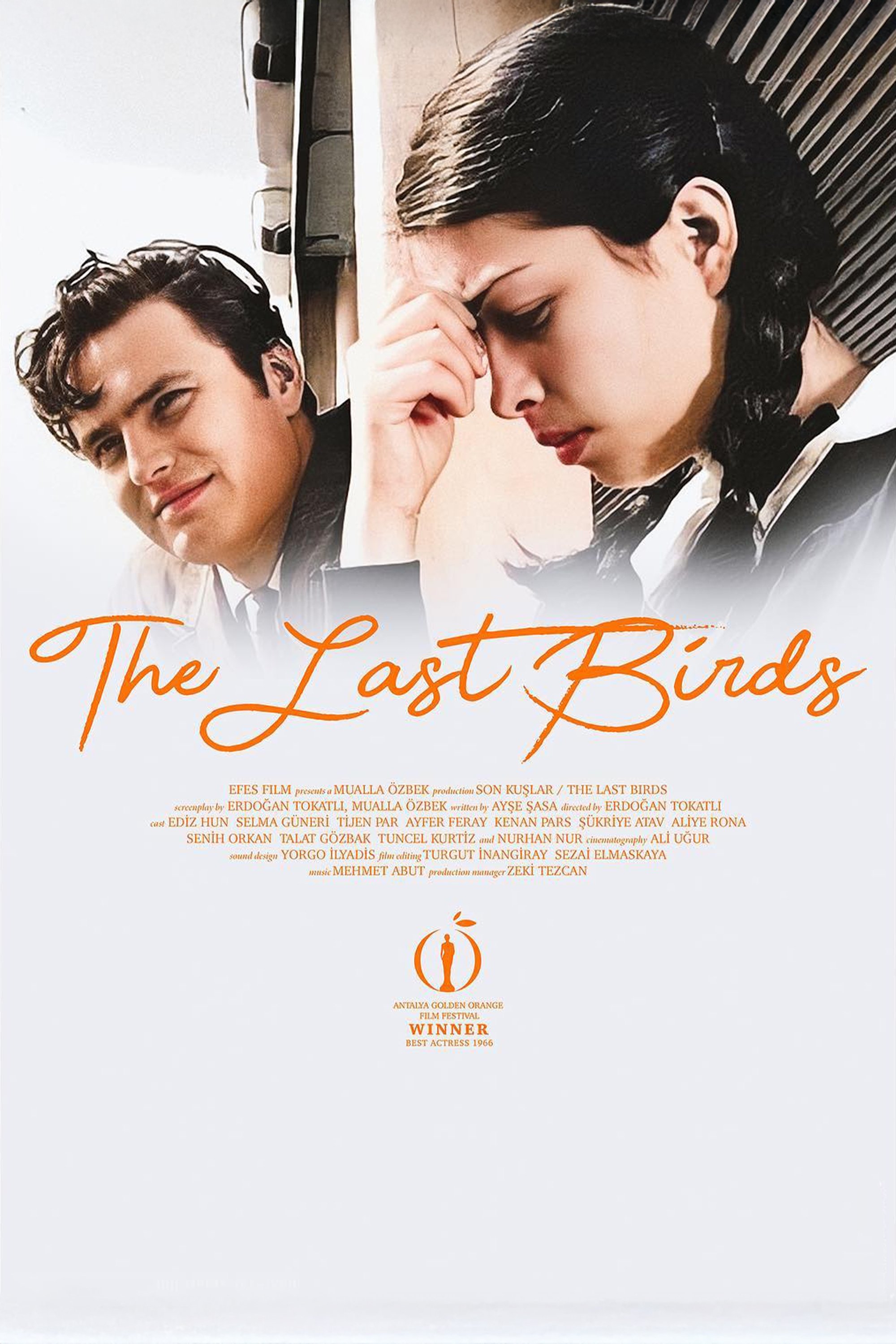 The Last Birds photo