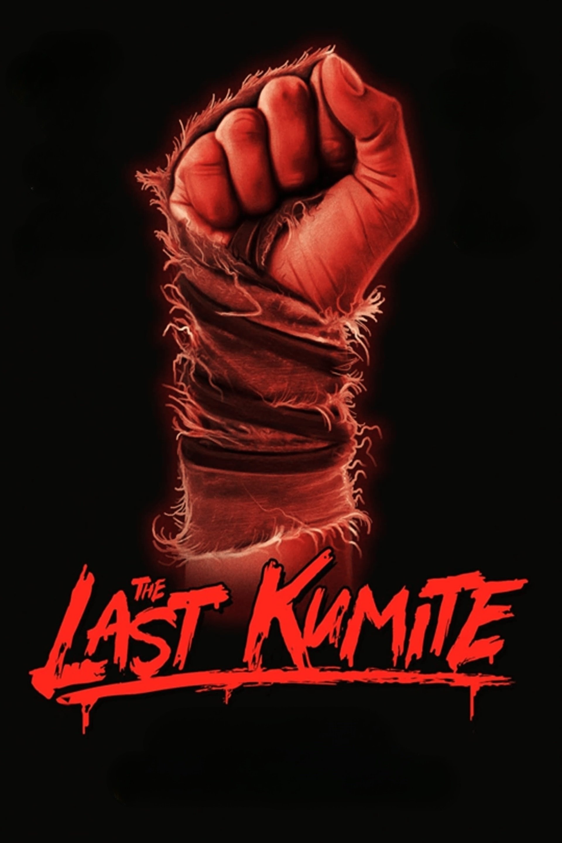 The Last Kumite photo