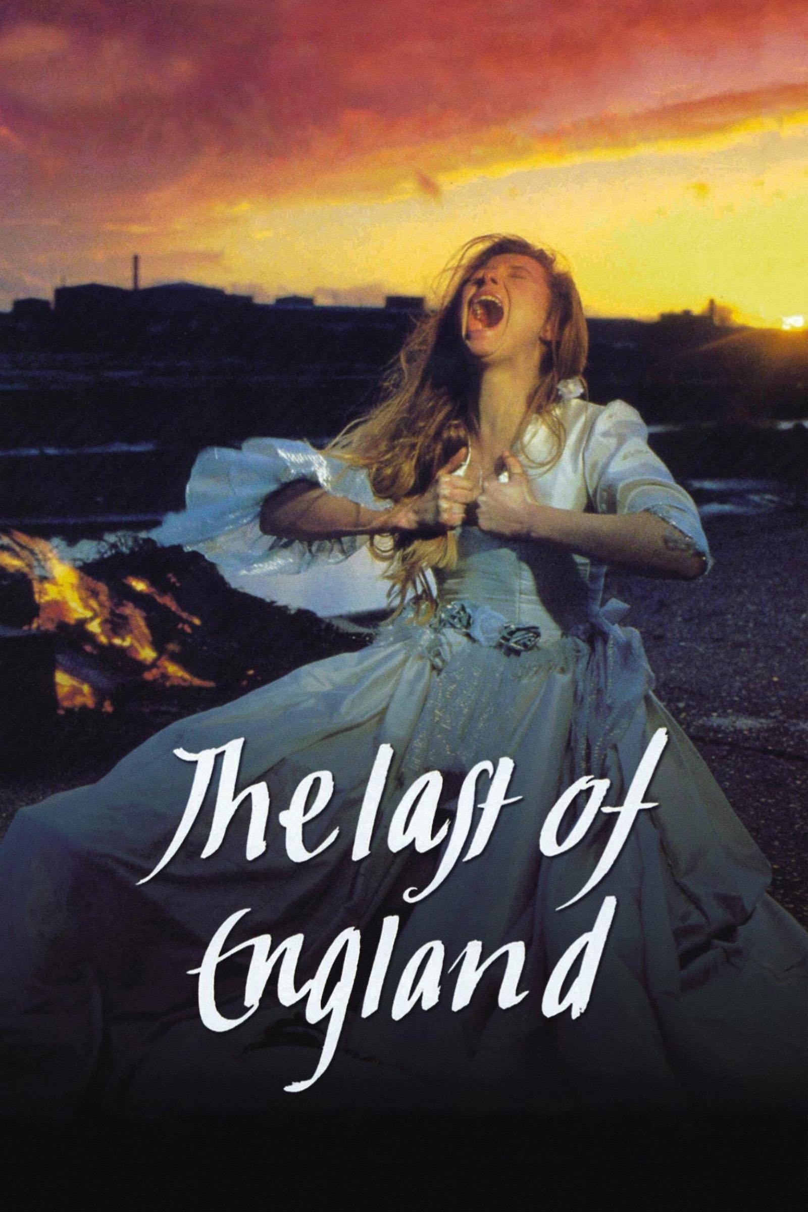 The Last of England photo