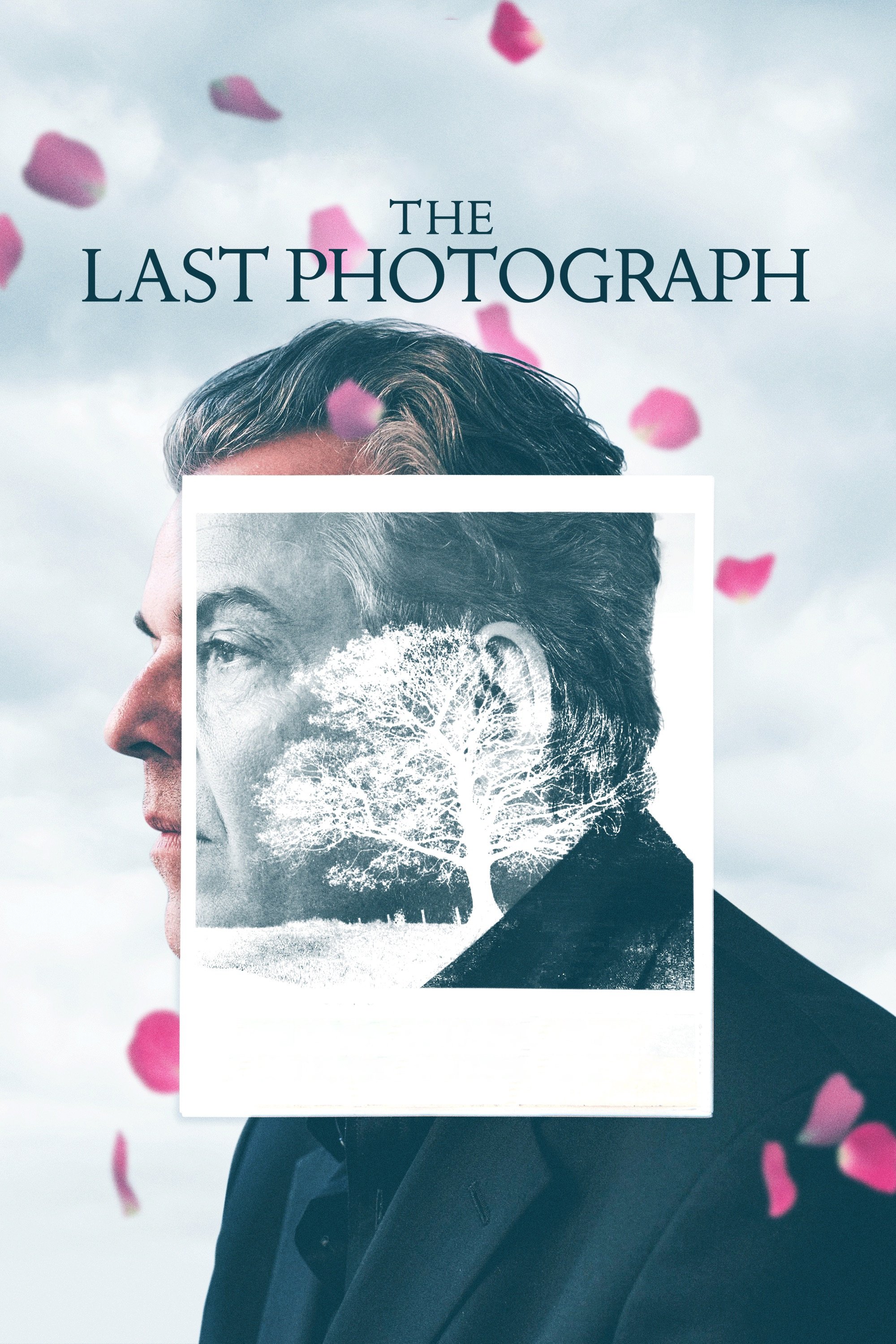 The Last Photograph photo