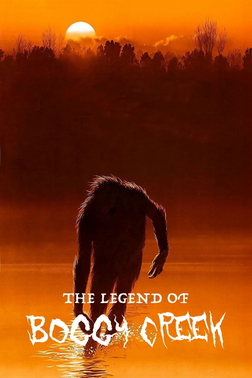 The Legend of Boggy Creek photo