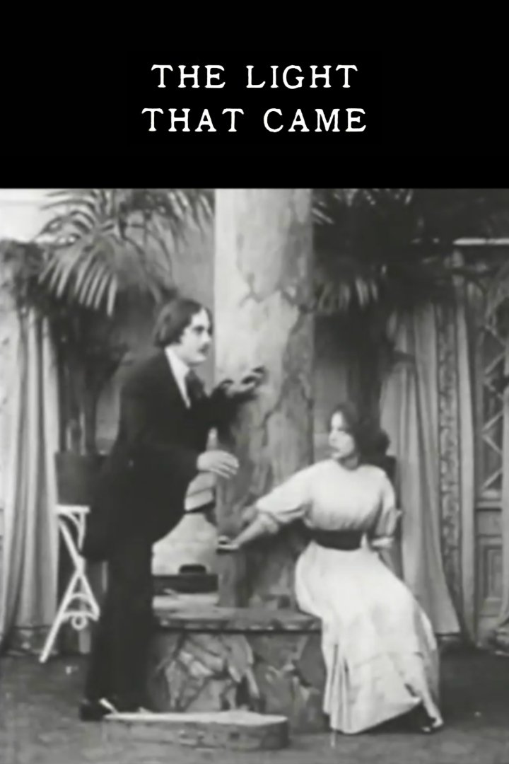 The Light That Came photo