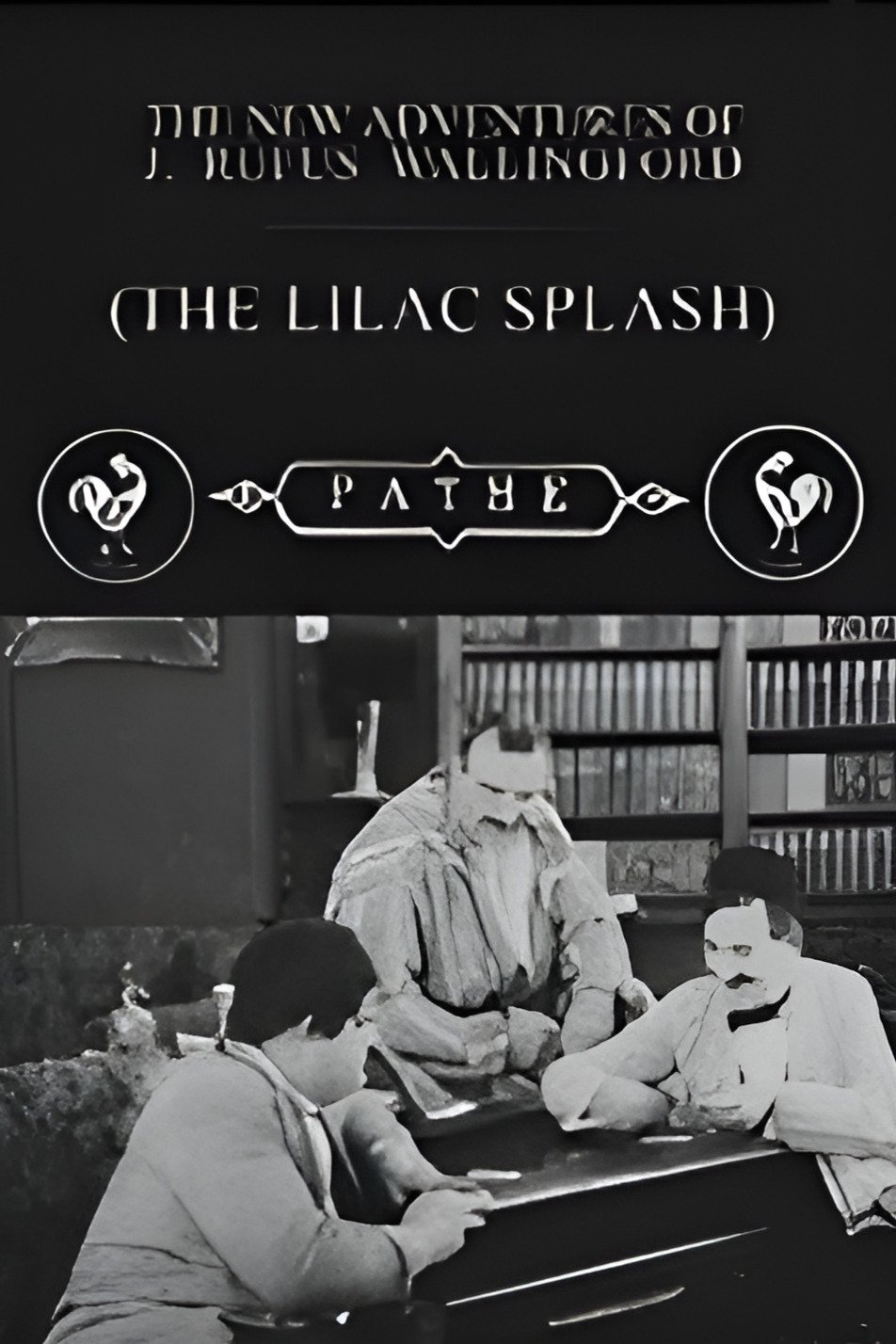 The Lilac Splash photo