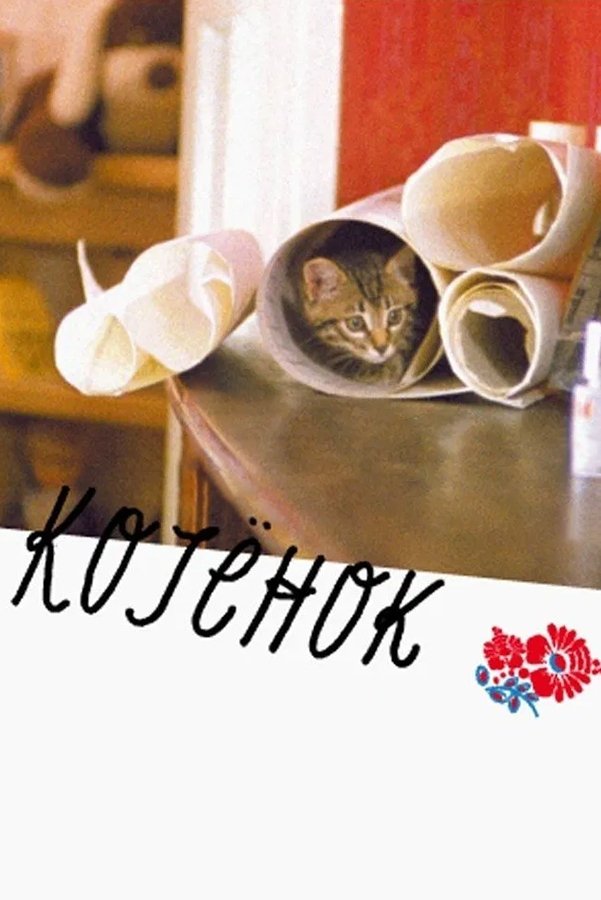 The Little Cat photo