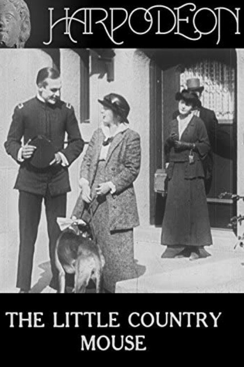 The Little Country Mouse photo