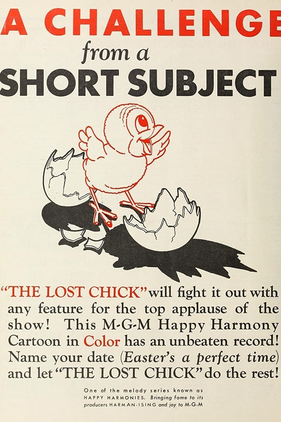 The Lost Chick photo