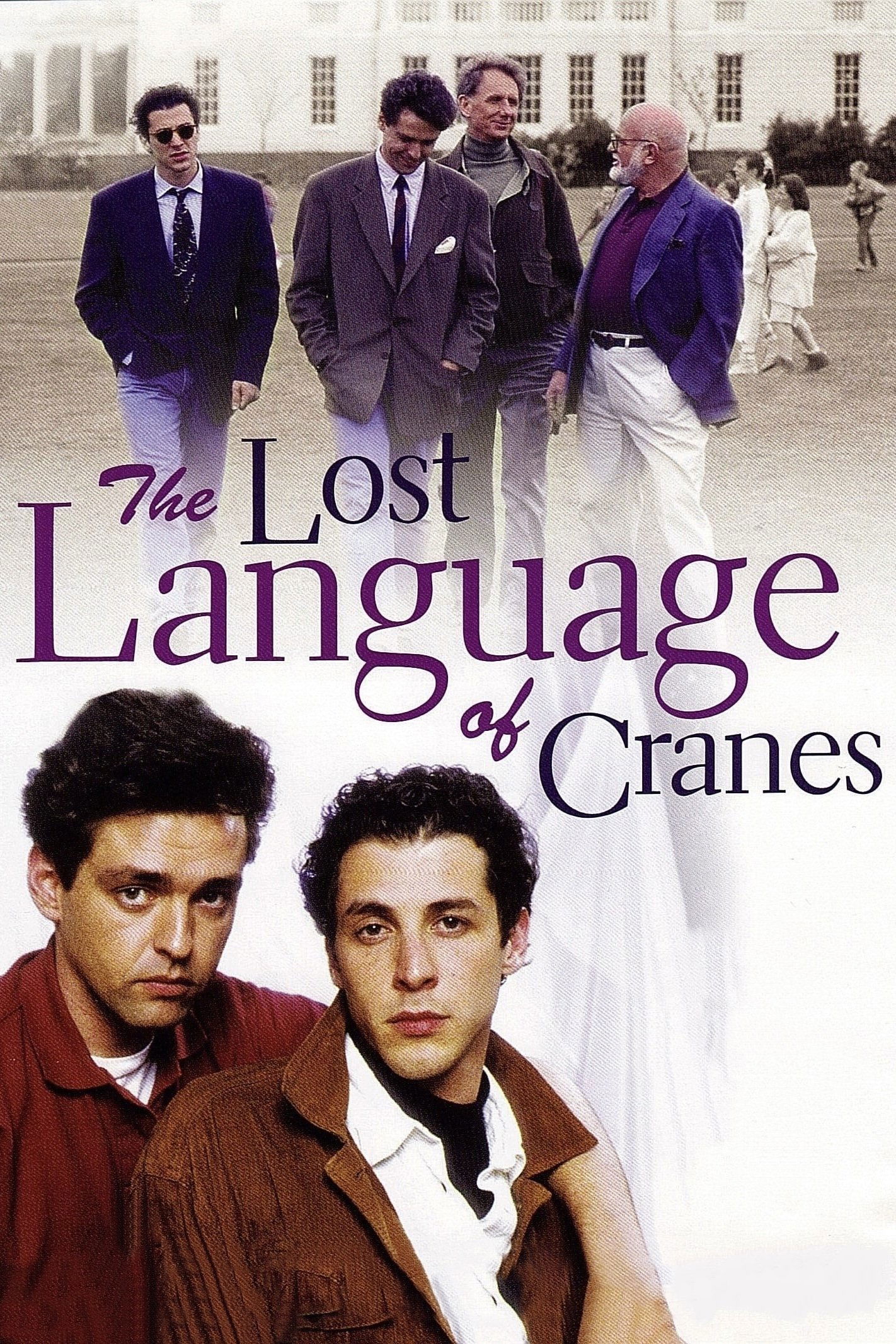 The Lost Language of Cranes photo