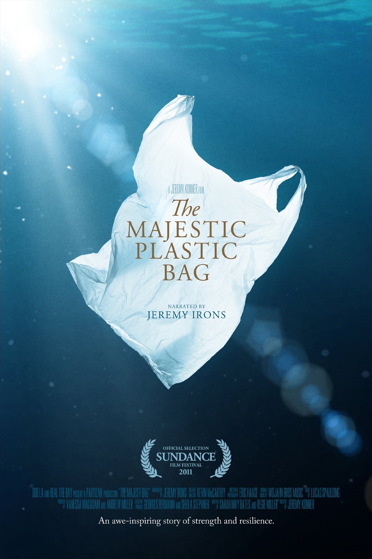 The Majestic Plastic Bag photo