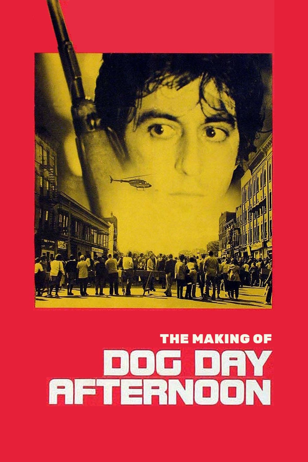 The Making of 'Dog Day Afternoon' photo