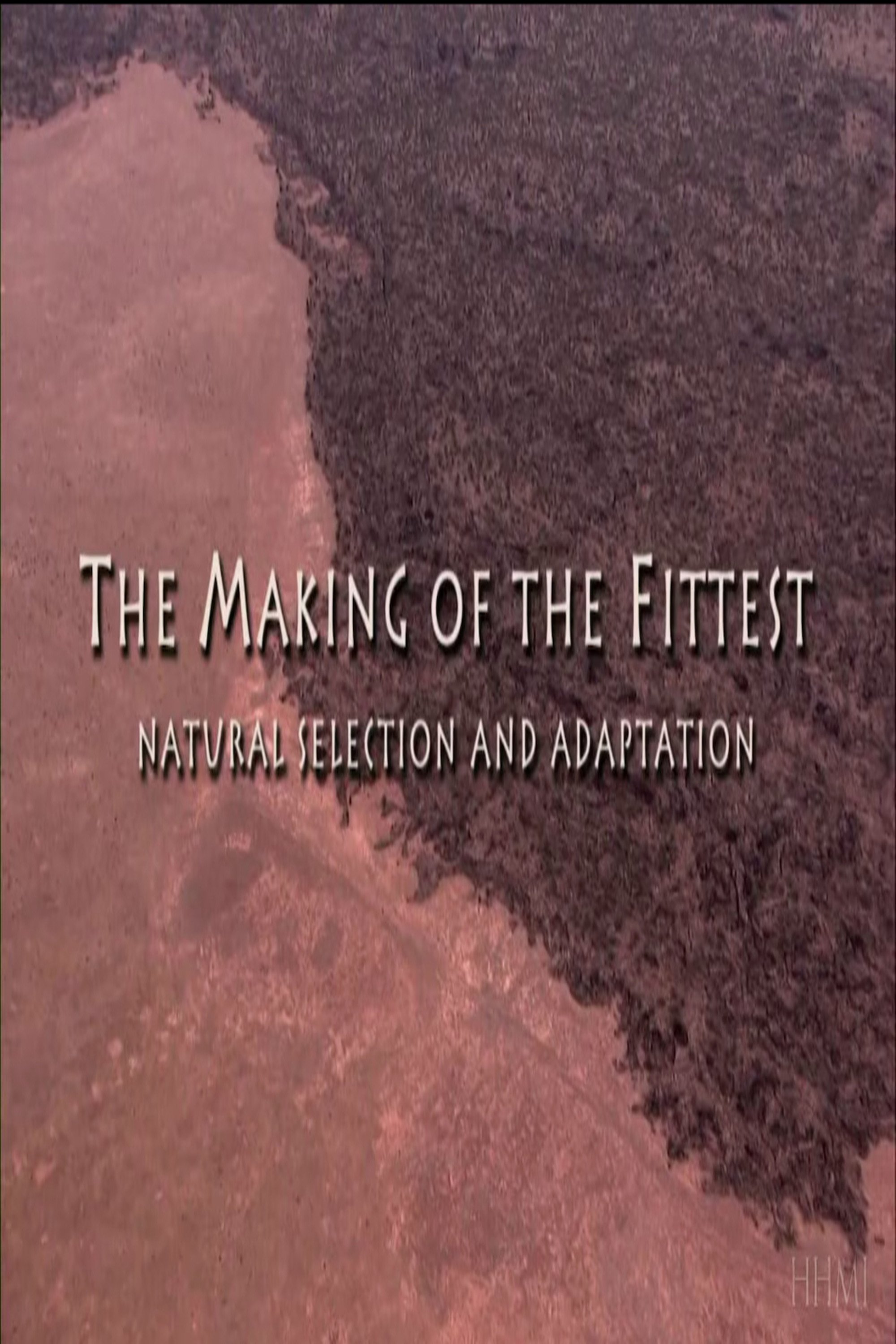 The Making of the Fittest: Natural Selection and Adaptation photo
