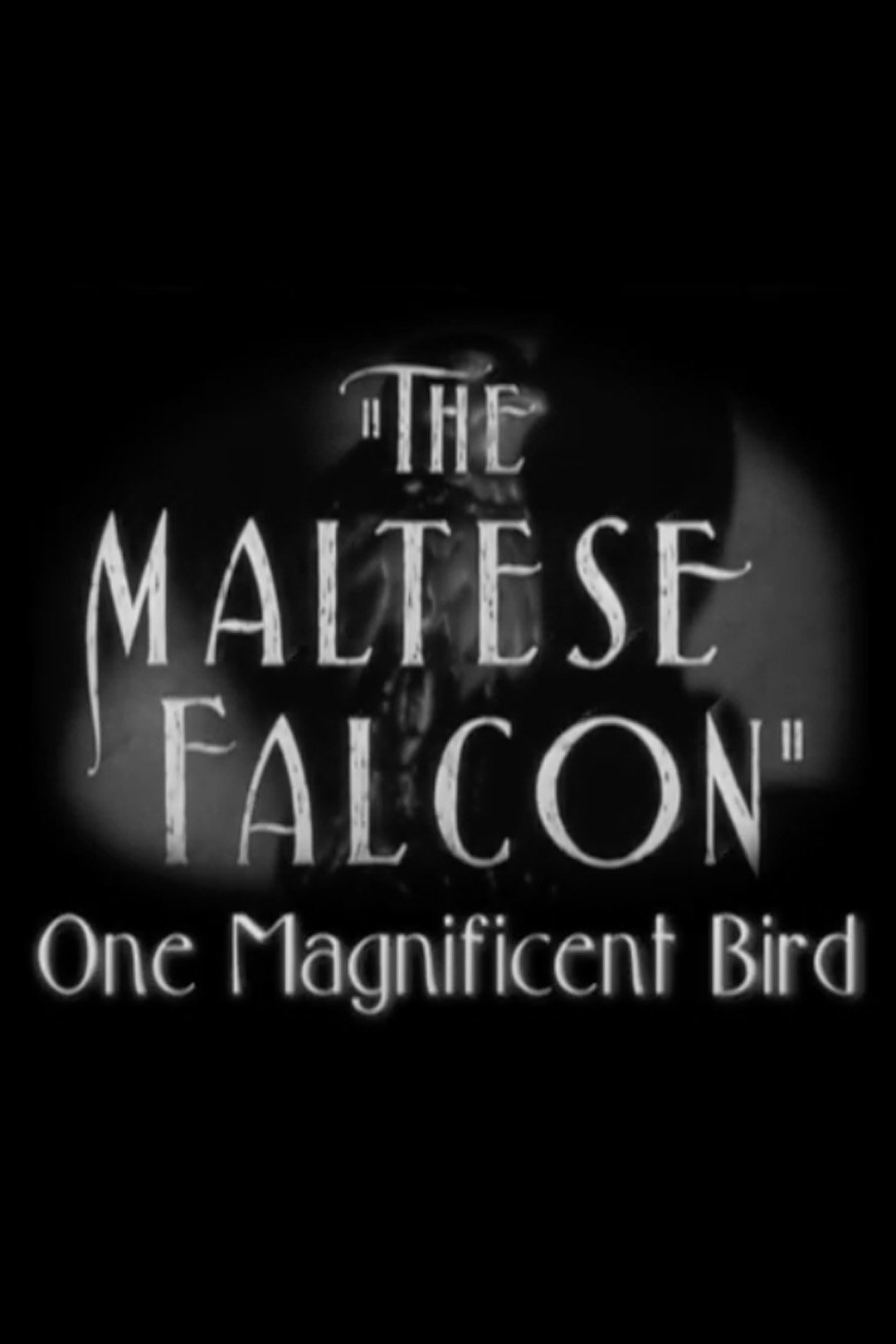 The Maltese Falcon: One Magnificent Bird photo