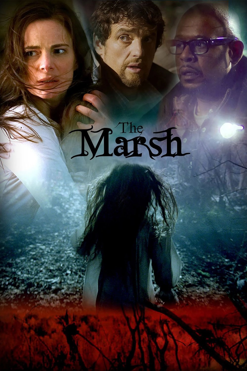 The Marsh photo