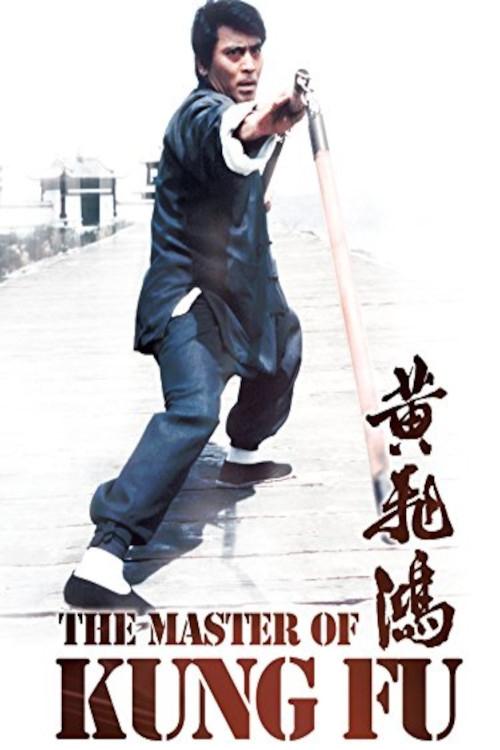 The Master of Kung Fu photo