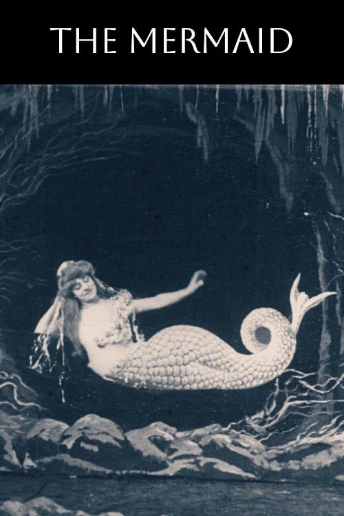 The Mermaid photo